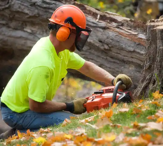 tree services Wells